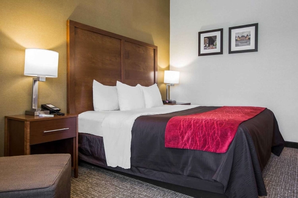 Comfort Inn Glenmont - Albany South